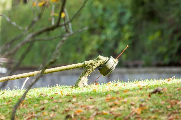 Cortador de relva cortador na grama verde — Fotografia de Stock