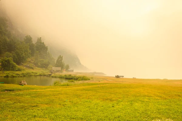 Foggy paesaggio estivo — Foto Stock