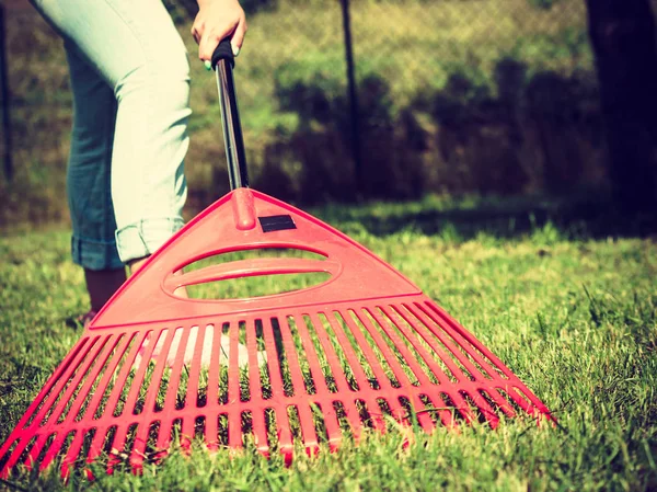 Frau putzt mit Harke Gartenrasen — Stockfoto