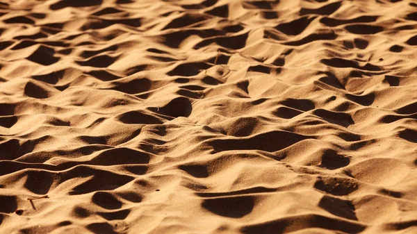 Closeup detalhado de areia amarela na praia — Fotografia de Stock