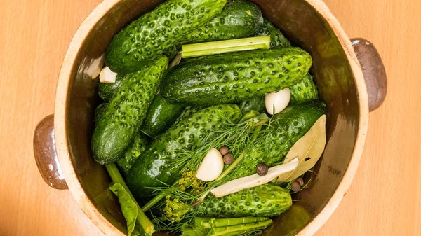 Making pickled cucumbers in clay jar — Stock Photo, Image