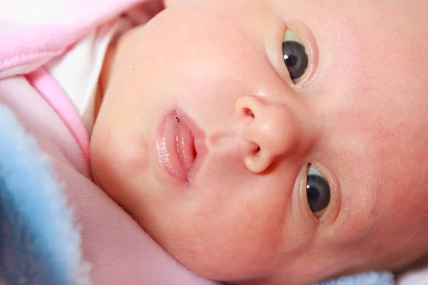 Маленький новорожденный ребенок лежит в одеяле — стоковое фото