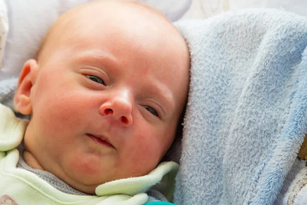 Little newborn baby lying in blanket — Stock Photo, Image