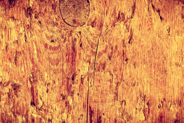 Gros plan détaillé de la texture du panneau en bois — Photo