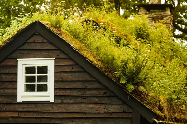 Tetto della casa coperto di muschio — Foto Stock