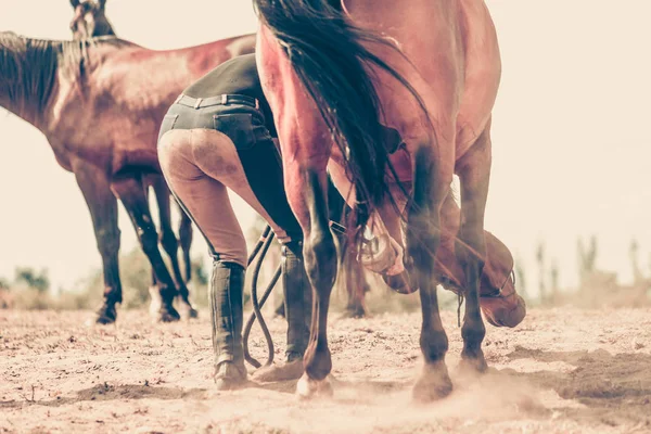 Primer plano sepia foto de patas de caballo oscuro corriendo —  Fotos de Stock