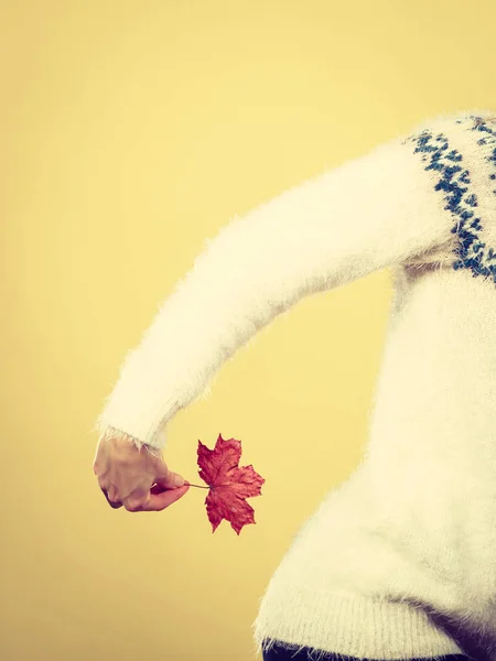 Woman holding orange autumn leaf — Stock Photo, Image