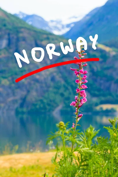 Горы Норвегии и фьорды , — стоковое фото