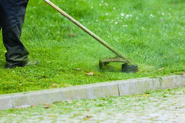 Adam brushcutter kullanarak yeşil çim biçme — Stok fotoğraf