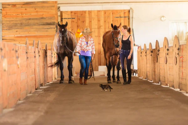 Cowgirl und Jockey gehen mit Pferden im Stall — Stockfoto