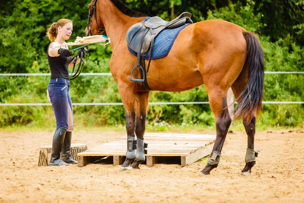 Jockey jovem mulher recebendo cavalo pronto para passeio — Fotografia de Stock