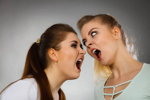 Dva agresivní ženy s tvrdí, že boj — Stock fotografie