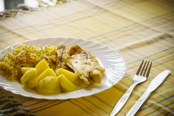 Jantar peixe refeição com salada e batatas — Fotografia de Stock