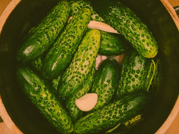 Making pickled cucumbers in clay jar — Stock Image Making pickled cucumbers in clay jar Stock Image