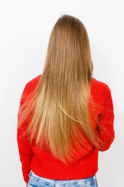 Femme avec les cheveux longs brun droit. Vue arrière — Photo