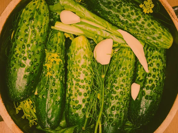 Herstellung von eingelegten Gurken im Tongefäß — Stockfoto