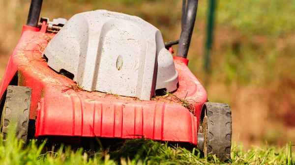 Trädgårdsskötsel. Klipper gräsmattan med gräsklippare — Stockfoto