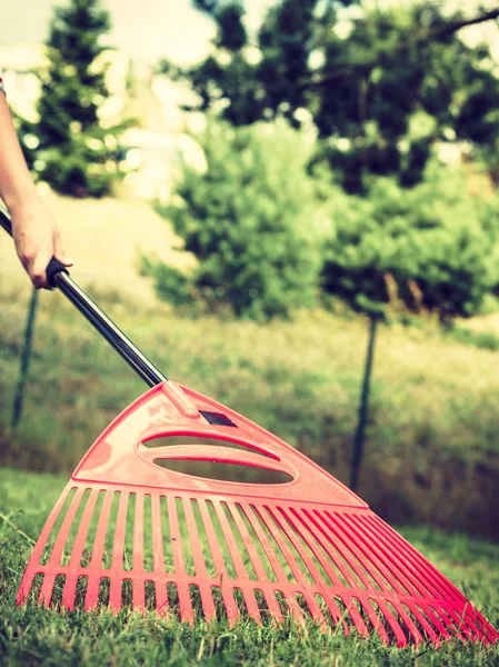 Donna che utilizza rastrello per pulire il prato da giardino — Foto Stock