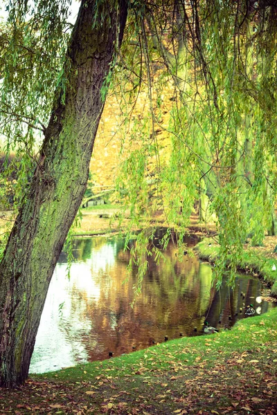 Teich im herbstlichen Park. — Stockfoto