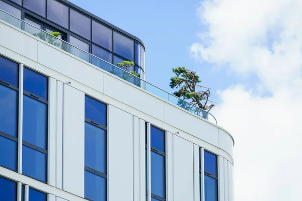 Luxe gebouw met boom bush op balkon terras. — Stockfoto