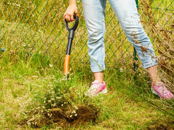 Donna scavare terreno con pala — Foto Stock