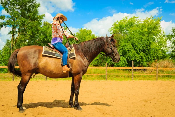 Kůň cowgirl koni na venkově louka — Stock fotografie