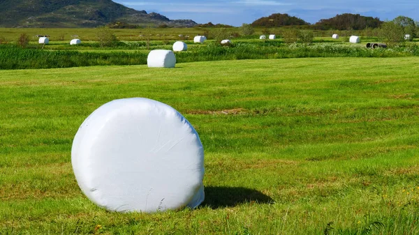 Bale de heno envuelto en papel de plástico, Noruega — Foto de Stock