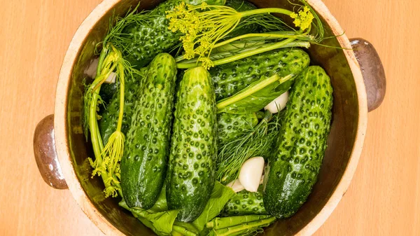 Making pickled cucumbers in clay jar — Stock Image Making pickled cucumbers in clay jar Stock Picture