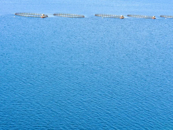 Criação de salmão, exploração piscícola no mar — Fotografia de Stock