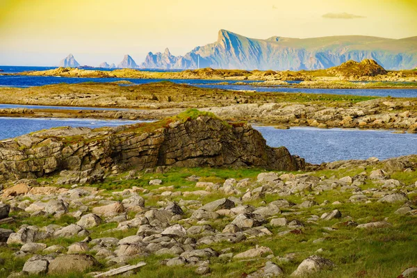 Mantello marino sull'isola di Andoya Norvegia — Foto Stock