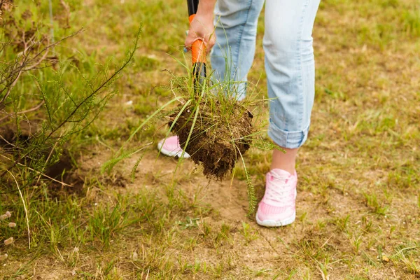 Woman digging hole in garden — Stock Photo, Image