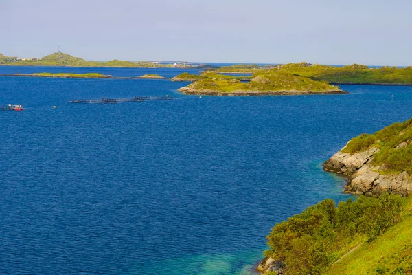 Salmon farming, fish farm in the sea — Stock Photo, Image