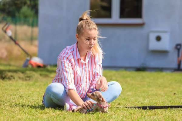 外ピンシャー ネズミを捕る犬をする女性 — ストック写真