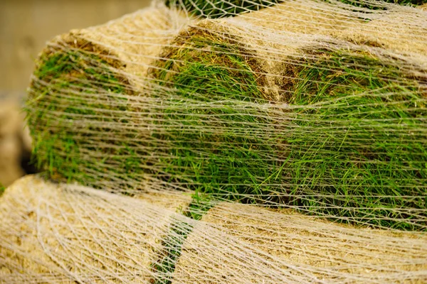 Stacks of sod rolls for new lawn — Stock Photo, Image