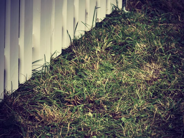 Groen gras en witte houten hek. — Stockfoto