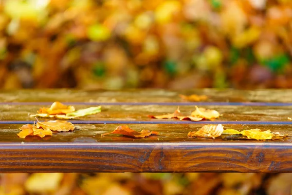 Autumn leaves foliage on park bench — Stock Photo, Image