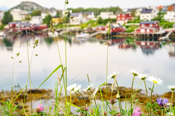 挪威渔村, Reine Lofoten 挪威 — 图库照片