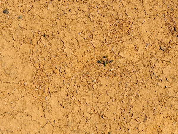 Desierto seco fondo agrietado — Foto de Stock