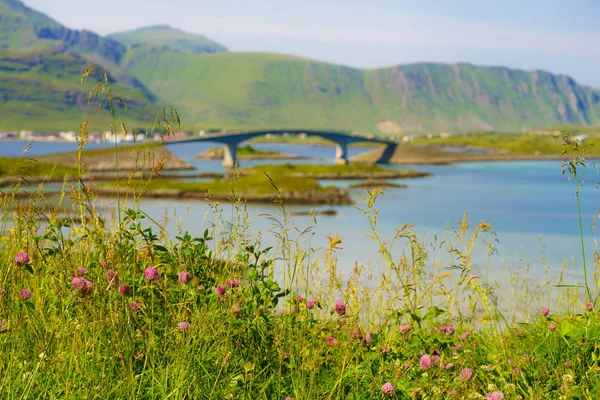 Strada e ponte sul mare., Lofoten Norvegia — Foto Stock