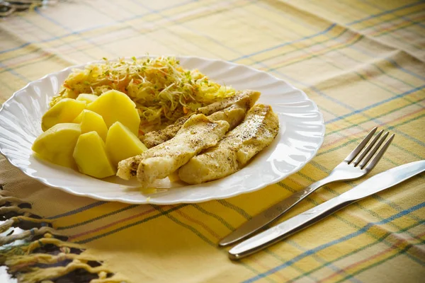 Repas de poisson avec salade et pommes de terre — Photo