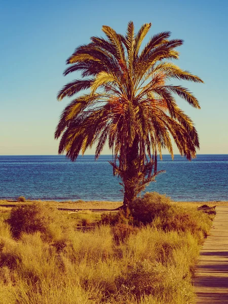 佩切莱斯海滩， 穆尔西亚 西班牙 — 图库照片