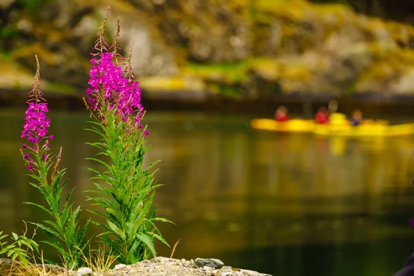 Litorale fiordo e la gente kayak — Foto Stock