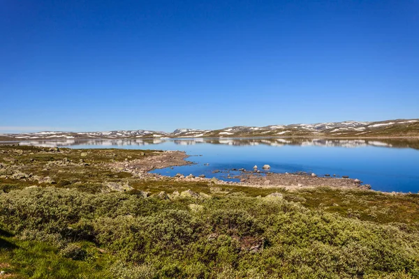 Hardangervidda Paysage Plateau Montagne National Touristique Hardangervidda Route Norvège Été — Photo