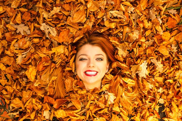 自然秋的概念 美丽的小姐介于叶子 姜头发合并与叶颜色 — 图库照片