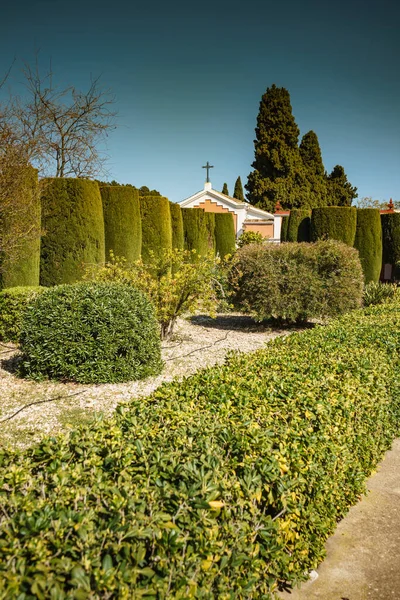 Grün Pflanzt Bäume Und Kapelle Mediterraner Naturpark — Stockfoto