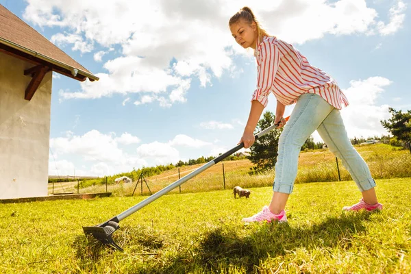 妇女用耙耙叶子 人照顾花园房子院子里的草 园艺设备概念 — 图库照片