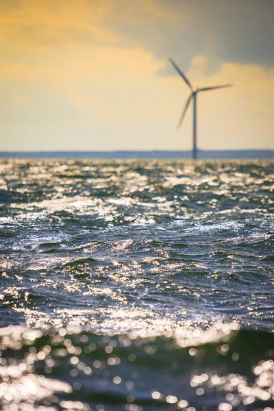 デンマーク近くの沿岸のバルト海に沿って再生可能エネルギーおよび代替エネルギー生産のための垂直軸風力発電機ファーム エコパワー 生態系 — ストック写真