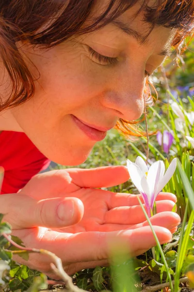 美しい日差しに春の天気の中に咲くフラワー ガーデンの白いクロッカスの臭いがする女のクローズ アップ — ストック写真