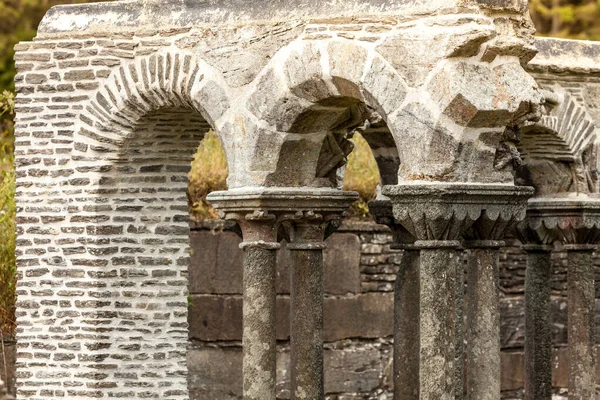 Les Restes Lysekloster Lyse Mariakloster Monastère Ruine Dans Sud Ouest — Photo