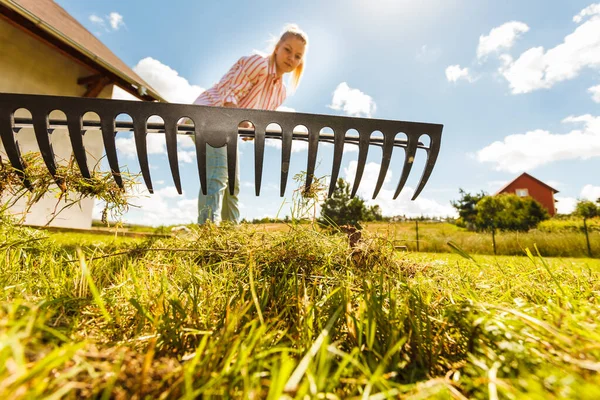 Unusual angle of woman raking leaves using rake. Person taking care of garden house yard grass. Agricultural, gardening equipment concept.